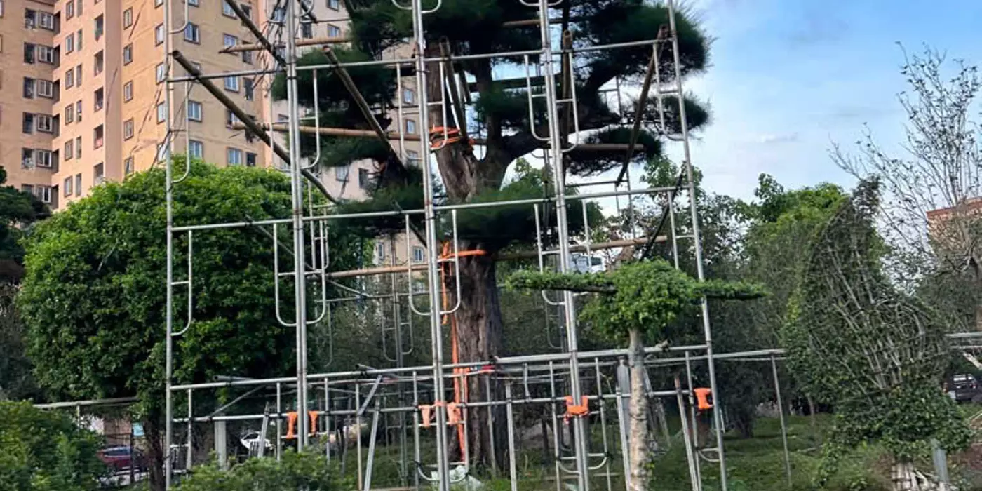 B.A.N ĐẤT TẶNG NHÀ - 105M, MT 5M PHỐ GIANG BIÊN - Ô TÔ VÀO NHÀ CHẠY VÒNG QUANH - 12,8 TỶ