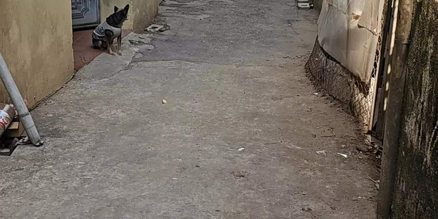 Bán gấp Mảnh đất 35m2 Văn Trì, lô góc, ô tô kinh doanh, giá 4.45 tỷ