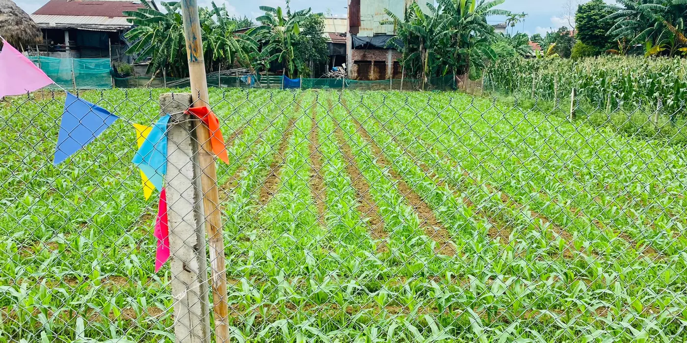 Đất Đại Cường - Đại Lộc diện tích rộng xây nhà vườn, biệt thự
