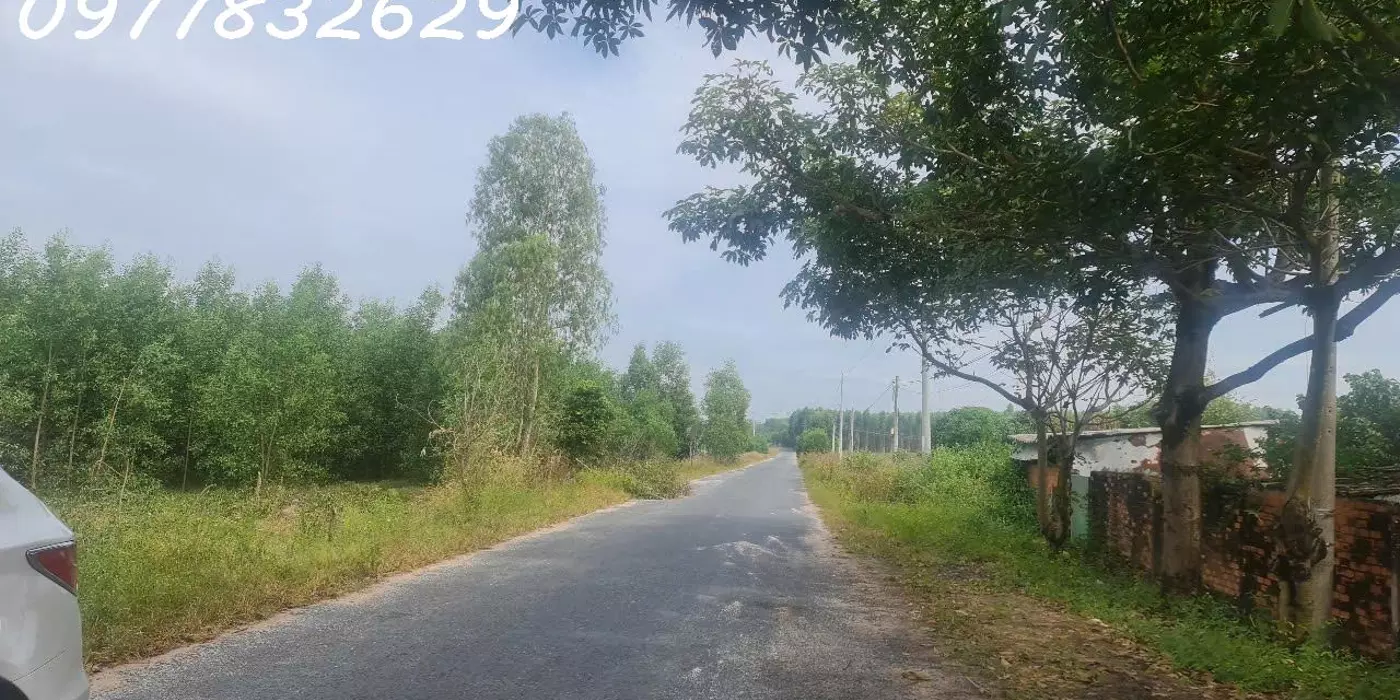 HÀNG NGỢP! 3.8 mẫu đất đường Cù Chính Lan - Tân Bình - TX LaGi chỉ 657 triệu/ sào