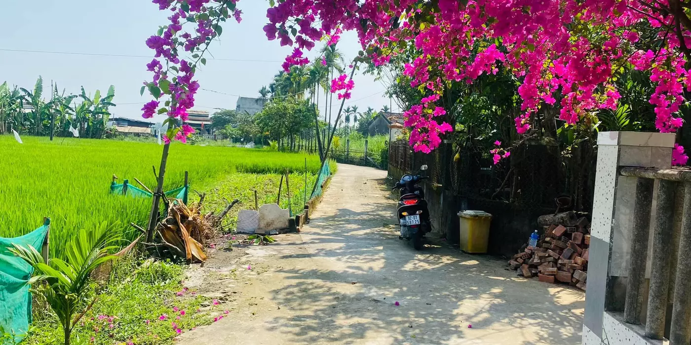 Đất Đại Nghĩa - Đại Lộc giá sập hầm