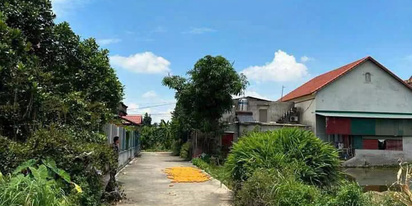 Chỉ hơn 7xx triệu bạn sở hữu ngay lô đất đẹp tại Trừng Xá, Lương Tài, Bắc Ninh
