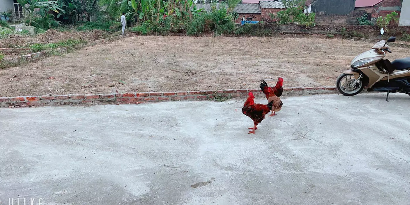 ĐẤT YÊN TÀNG BẮC PHÚ DT 117 M FUN THỔ CƯ GIÁ CỰC SÔC RƠI TIỀN LÀ LÃI