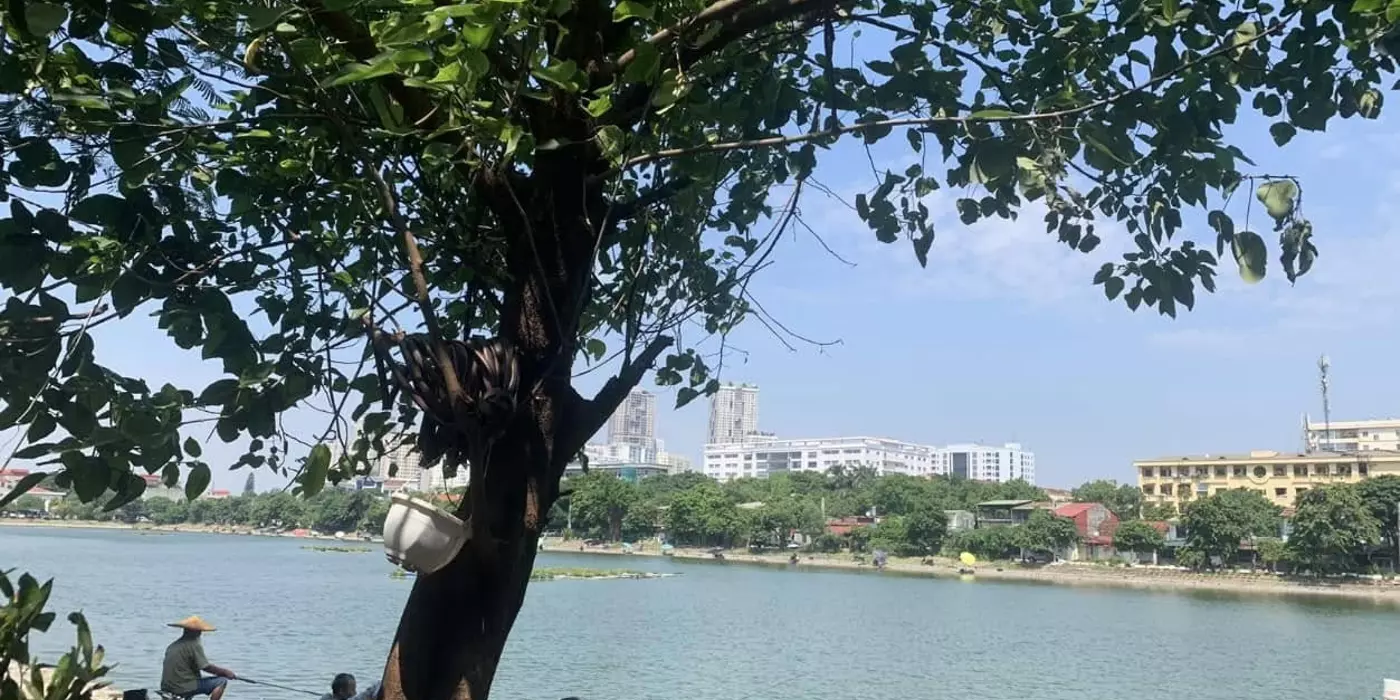 BÁN NHÀ TRẦN NHẬT DUẬT, HÀ ĐÔNG. DIỆN TÍCH 56M2, DÂN TỰ XÂY VỮNG CHẮC, Ô TÔ ĐỖ CỬA
