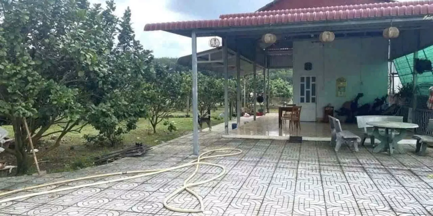 ĐI MỸ ĐỊNH CƯ CẦN BÁN NGAY VƯỜN BƯỞI SAU LƯNG ỦY BAN NHÂN DÂN