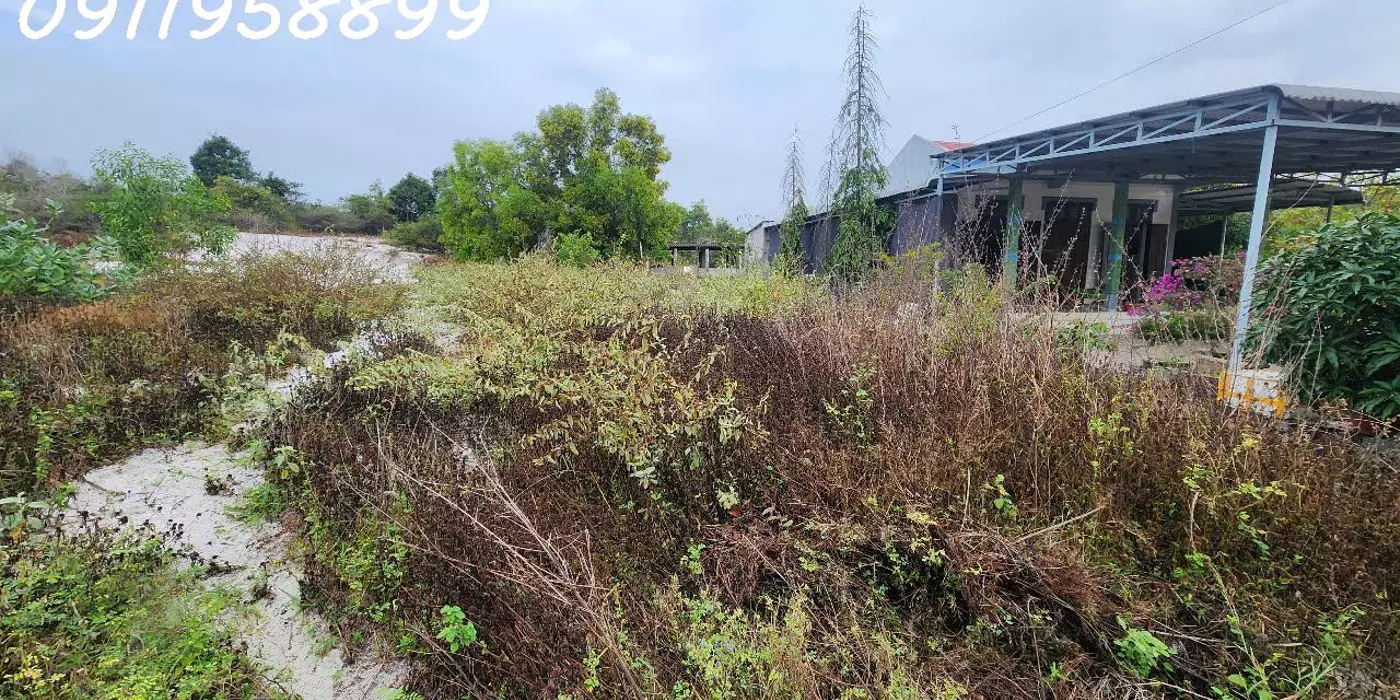 GIẢM SỐC CHỈ CÒN 1 TỶ LÔ ĐẤT 330m2 đất Lô 2 Ngô Tất Tố, Tân Phước, Thị xã LaGi gần Biển Cam bình