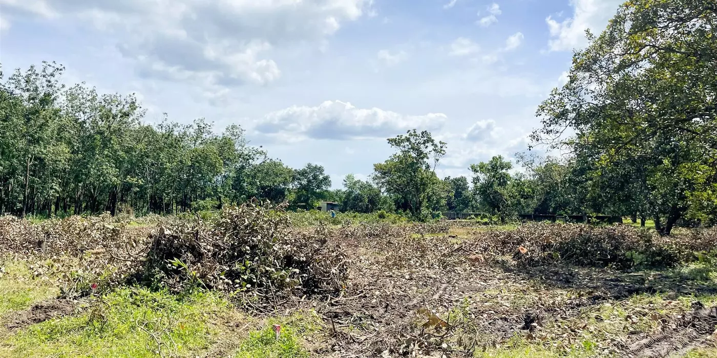 BÁN VƯỜN ĐIỀU 2,7 SÀO (2730M2) VIEW SÔNG DÂN THƯA, 200M RA NHỰA, CÔNG NGHIỆP GIÁ 190TR/S.