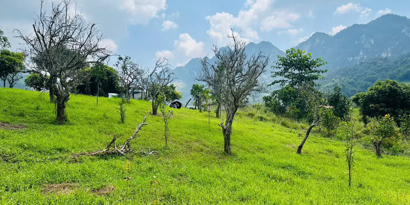 Cơ hội sở hữu mảnh đất tại trung tâm Du lịch Mường Sang Mộc Châu chỉ với giá hơn một tỷ, Cơ hội x2