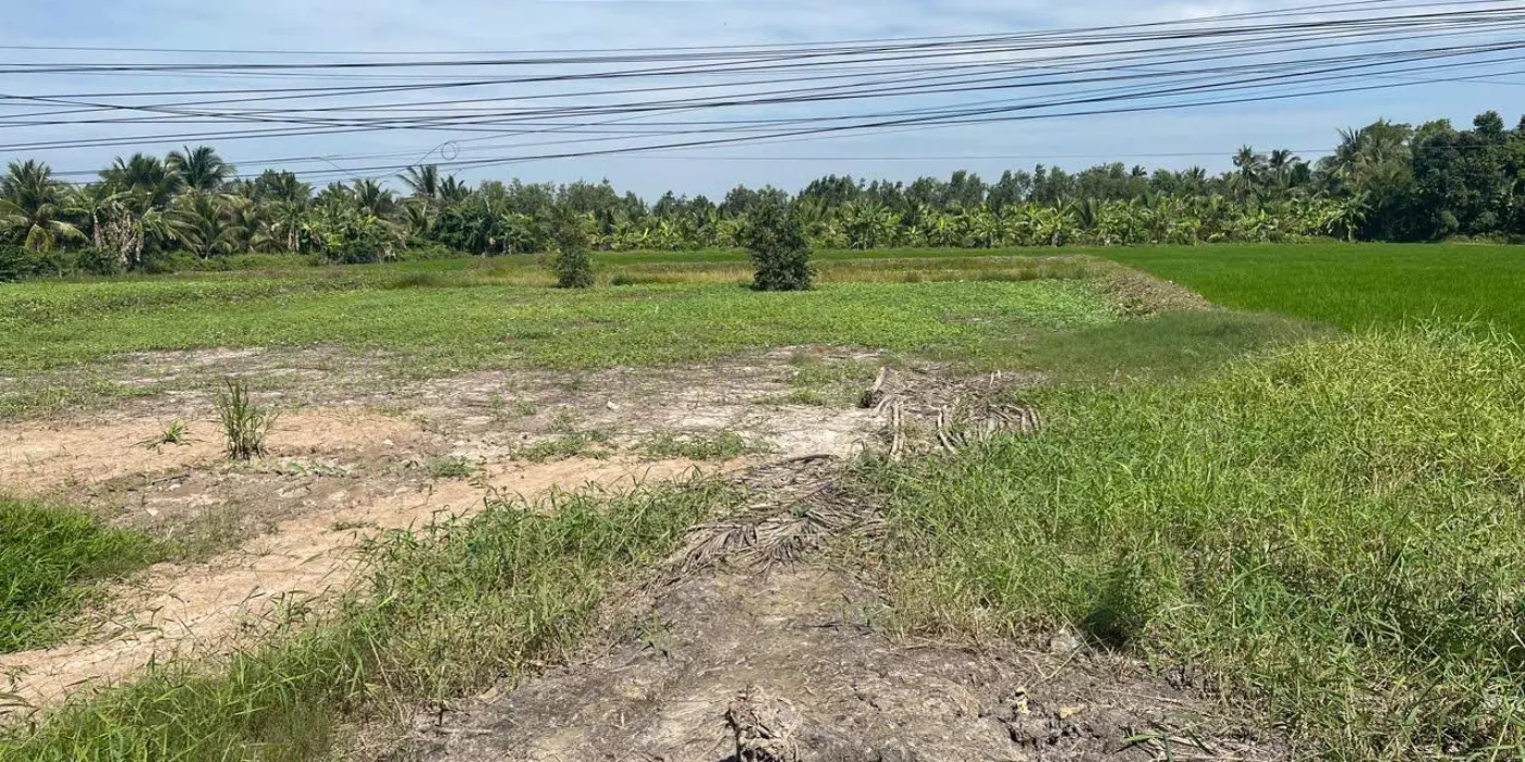 Cần bán đất nền tại ấp 10, xã Thuận Hưng, huyện Long Mỹ, tỉnh Hậu Giang (kế bên cầu Ba Phát). Giá: