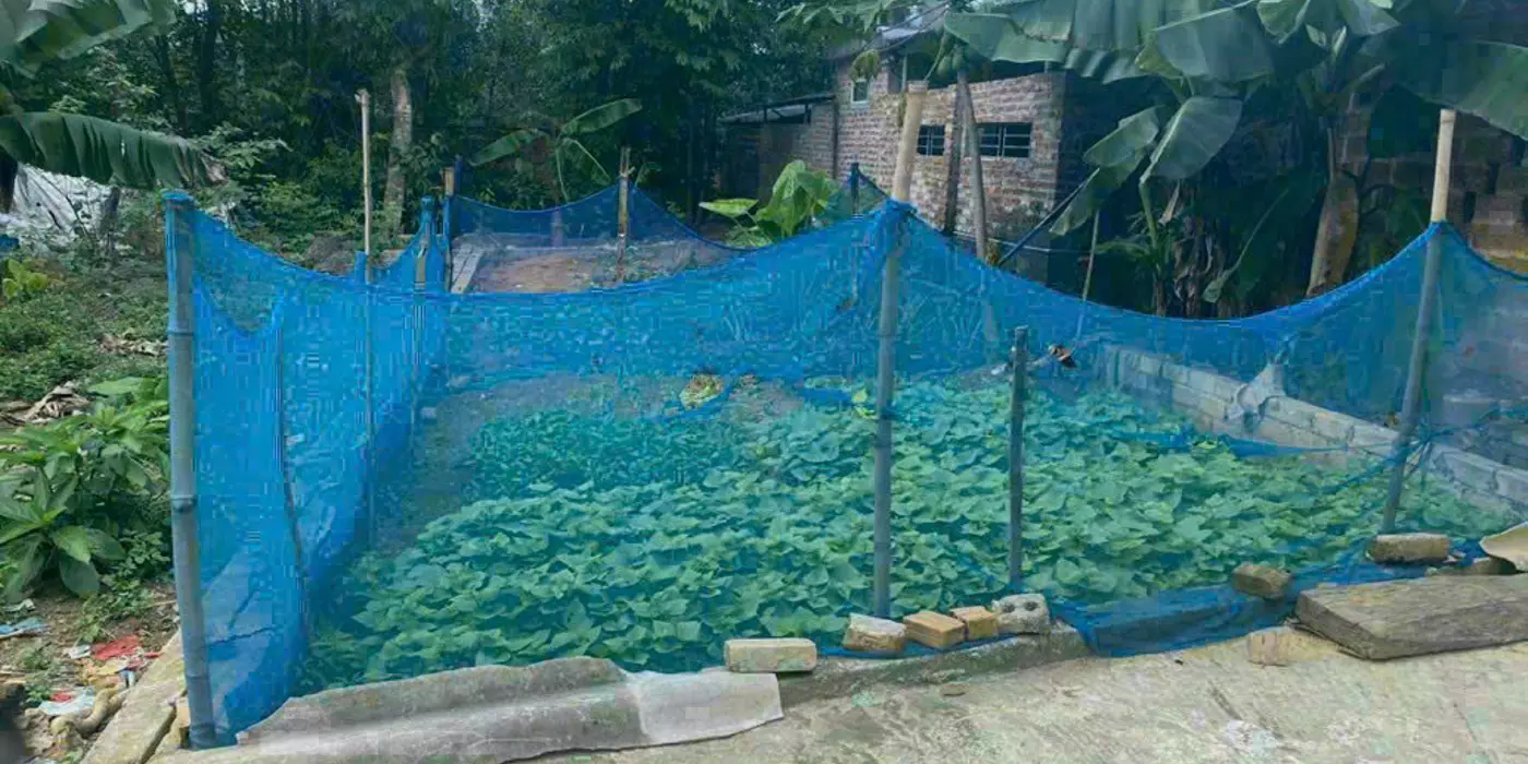 Bán đất tại TĐC Vai Réo, 93m2  giá 3.7 tỷ. Đất nằm trong lõi đô thị vệ tinh Hoà Lạc