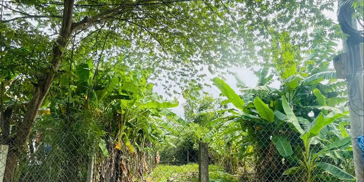 Bán đất kiệt ô tô Nguyễn Lộ Trạch, TTTP Huế giá 2,xx tỷ