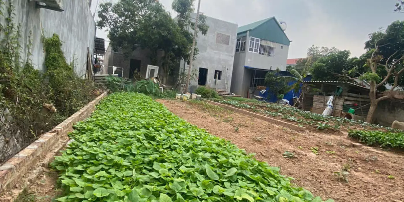 CẦN THANH KHOẢN NHANH 80M ĐẤT HIỀN NINH. FULL THỔ CƯ. MT 5,5M. ĐƯỜNG 4M. GIÁ 2,16 TỶ CÓ THƯƠNG