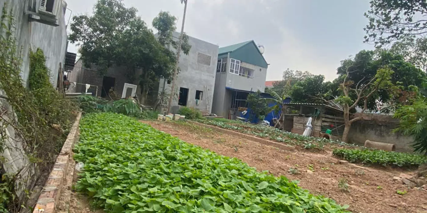 BÁN ĐẤT ĐẸP HIỀN NINH, SÓC SƠN - GIÁ ĐẦU TƯ. DIỆN TÍCH 80M2, MT 5,5M. FULL THỔ CƯ.