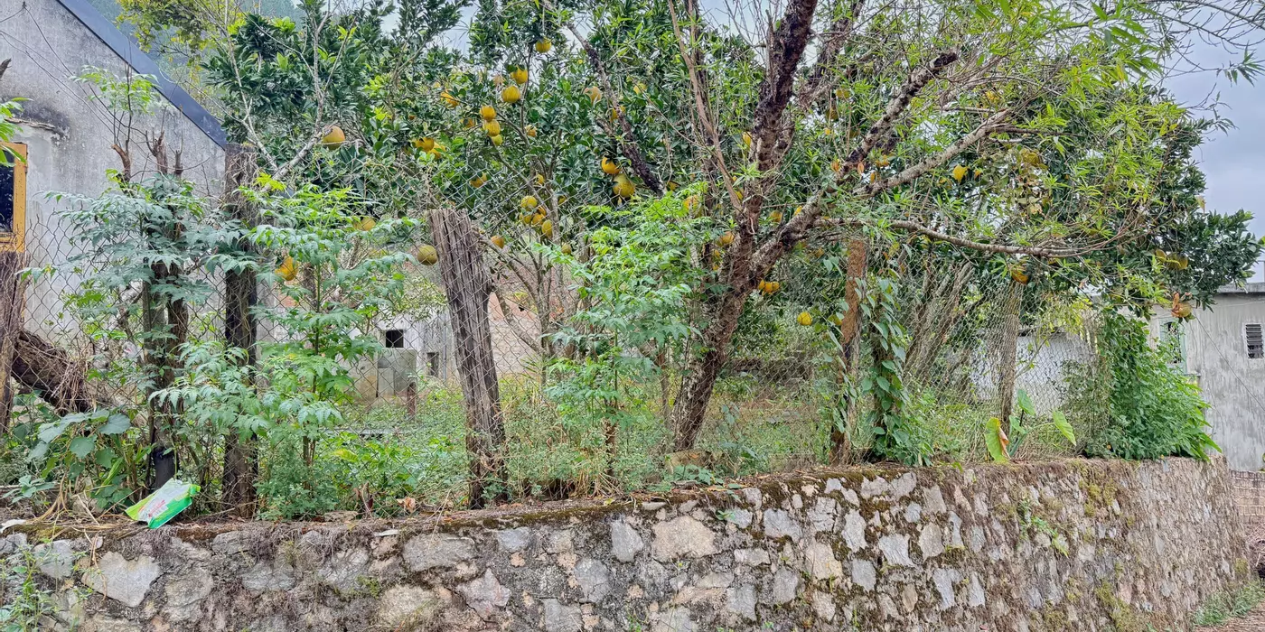 Đất nền trung tâm Thị Xã Mộc Châu vị trí đẹp, nhiều tiện ích xung quanh, giá cắt lỗ do chủ ngộp