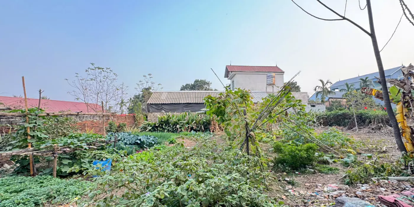 Bán đất xã Thuỷ Xuân Tiên, Chương Mỹ, HN. Oto vào đất. DT 270m, giá 1,95 tỷ. Chia 2 lô đẹp.