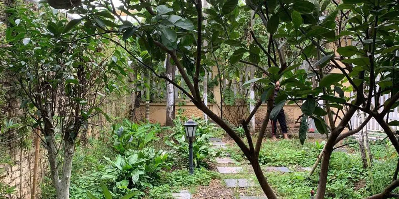 Bán đất trục chính Yên Bài Ba Vì,gần Đại Học Quốc Gia,kinh doanh bất chấp,550m MT10m,5.8 tỷ