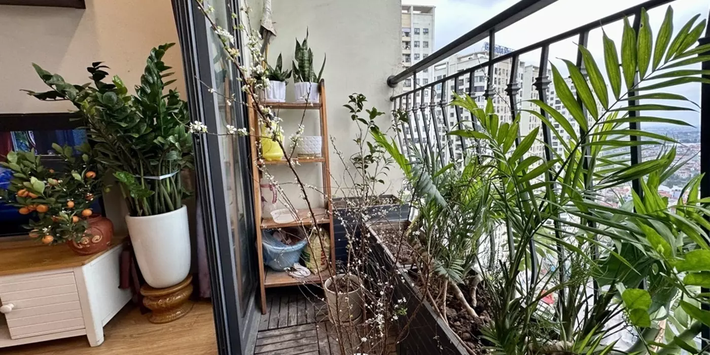 CĂN HỘ CAO CẤP GELEXIA 885 TAM TRINH - 74M² FULL NỘI THẤT - 4.8 TỶ