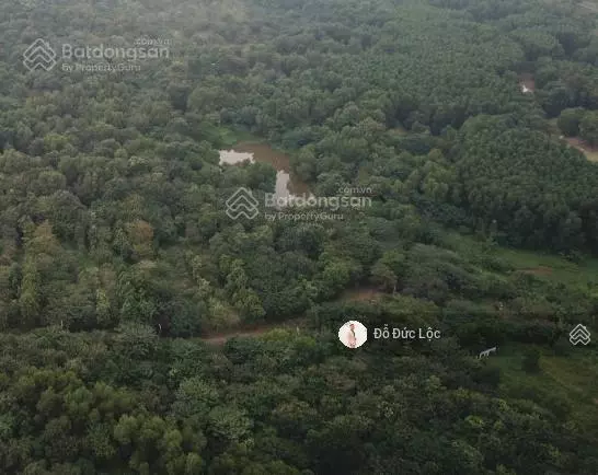BÁN GẤP 110.000M2 ĐẤT THỔ CƯ NGUYỄN XIỂN - QUẬN 9 - GIÁ 210 TỶ
