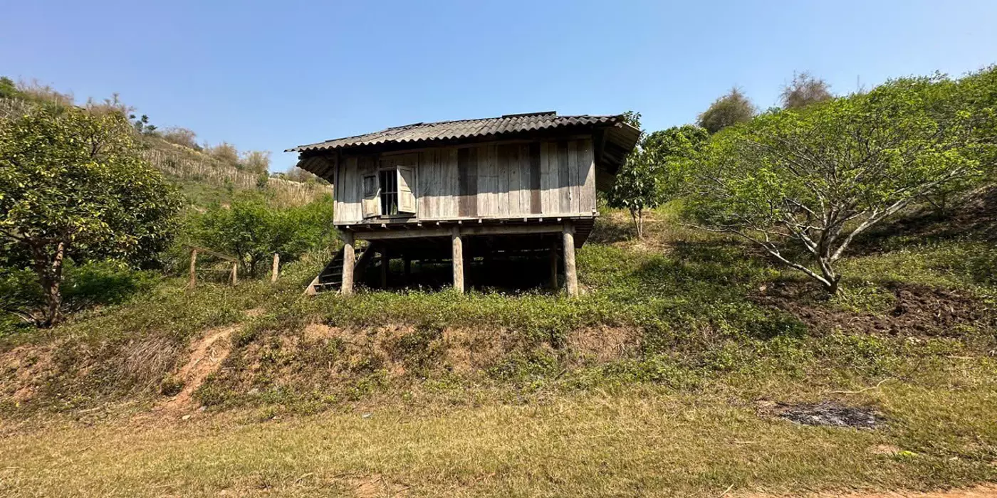 Chính chủ cần sang nhượng gấp 3 héc ta đất trồng Mận, trồng Đào tại Mộc Châu rất phù hợp để làm du
