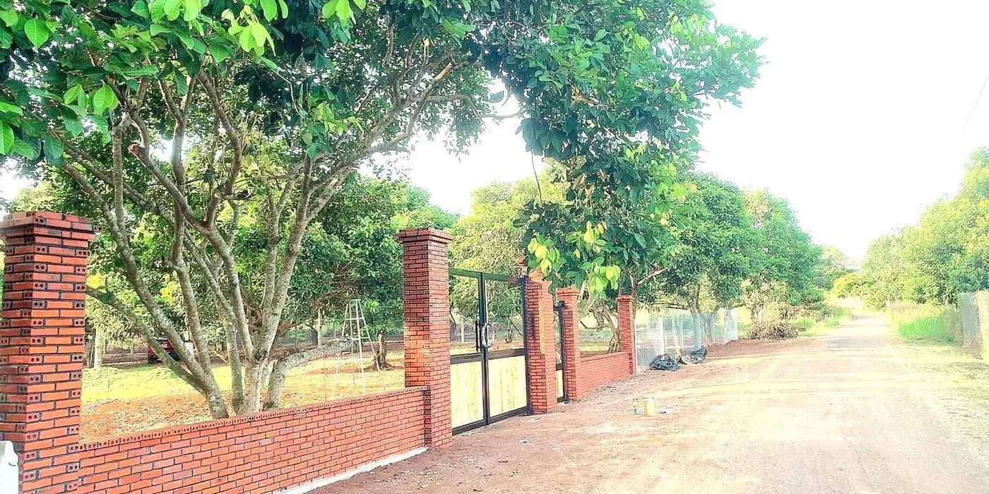 Bán Lô Đất Thổ Cư Ngay Góc Ngã 4 Đường Phan Bội Châu Trường Chuyên Bình Long 268tr