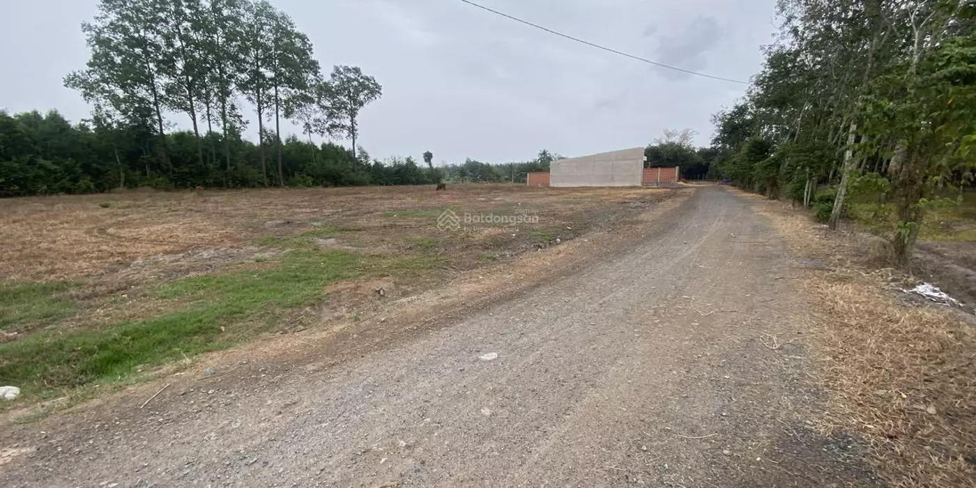 Bán 230.1m2 đất thổ cư xã Phan, Dương Minh Châu, Tây Ninh 268 triệu
