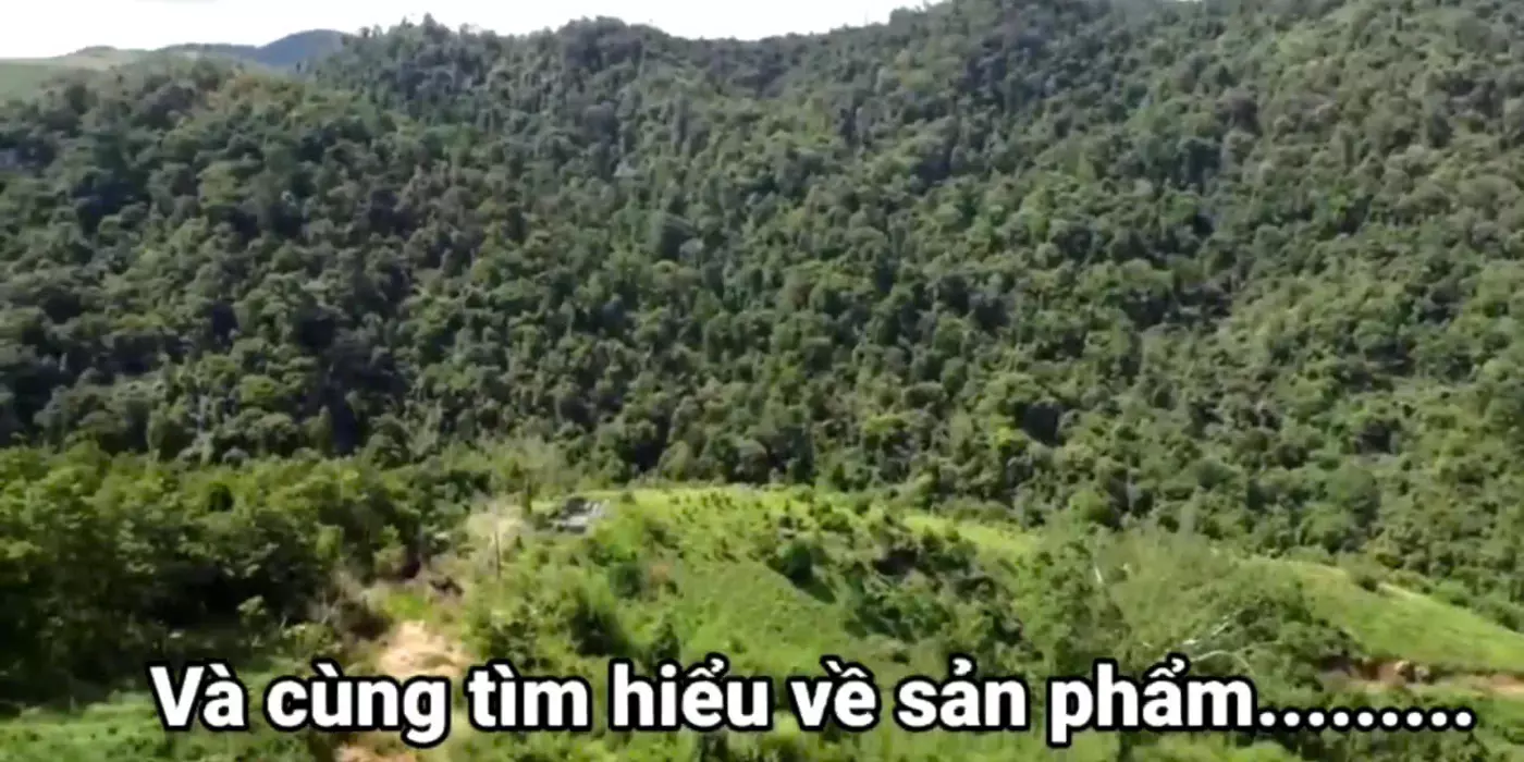 ✨PHẢI NHANH MỚI KỊP ✨ Đất lâm nghiệp làm khu sinh thái Lâm Đồng 72ha 45 tỷ có đàm phán