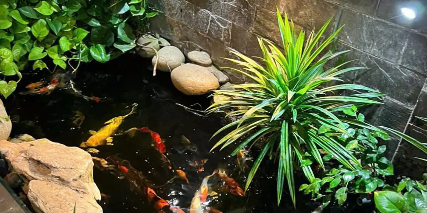 🌼🌹NHÀ ĐẸP 2 TẦNG MỚI TINH +KHO XƯỞNG -THỚI TAM THÔN HÓC MÔN-HẺM  NHỰA 7M- NGANG BỀ THẾ 10M -