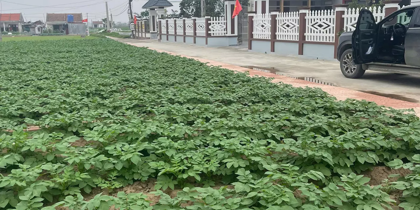 ☎️ Chính chủ cần sang nhượng lô đất 94m2 nằm ngay sát mặt biển sẵn thổ cư sổ đỏ sổ hồng rõ ràng