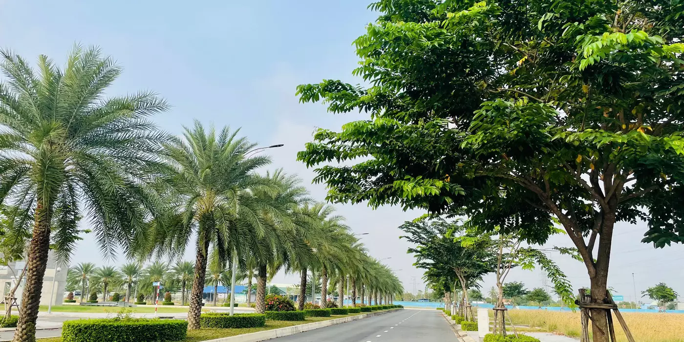 ĐẤT NỀN CÓ SỔ SẴN ĐỐI DIỆN ECO RETREAT ĐÓN ĐẦU SÓNG ĐẦU TƯ,CÔNG CHỨNG TRONG NGÀY