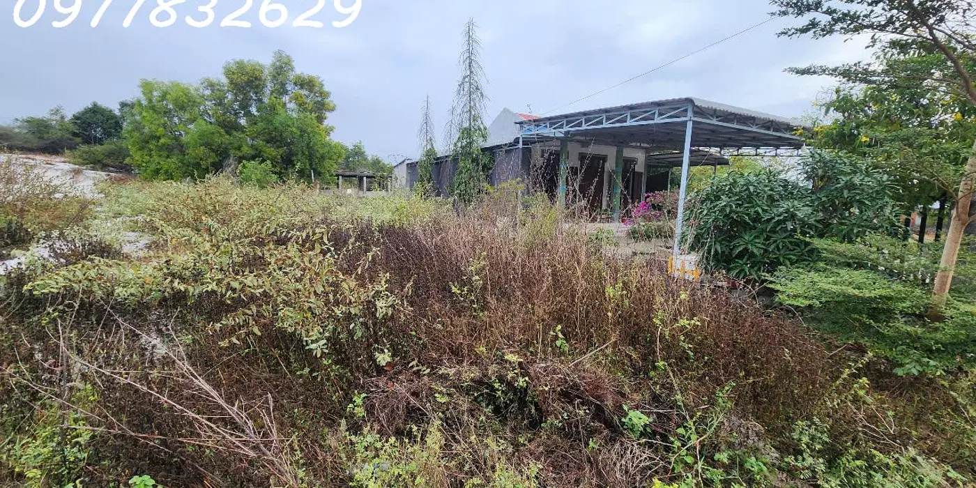 Bán 330m2 đất ONT Tân Phước - TX LaGi giá ngộp chỉ 950 triệu sổ hồng riêng