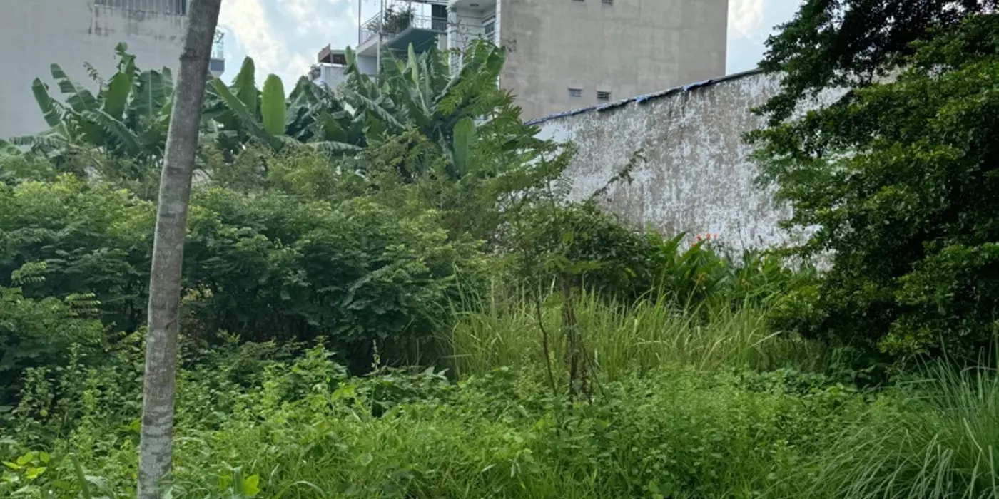 Đât phân lô, Bưng Ông Thoàn, 450m2, đường 10m, ngay Liên Phường, giá 18.5ty