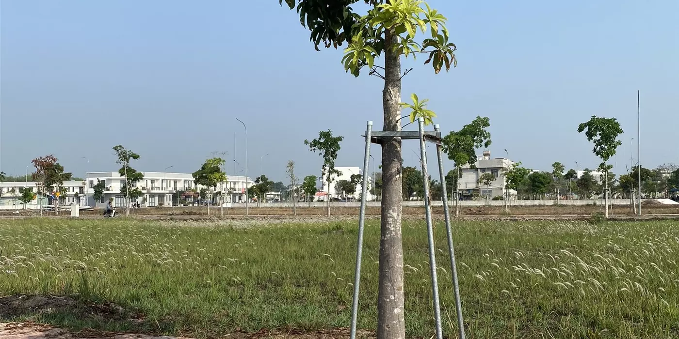Cần Bán Đất An Điền, Cách Chợ  Bến Cát 800 mét – 100m², Mặt Tiền 7m, Giá 1.05 Tỷ