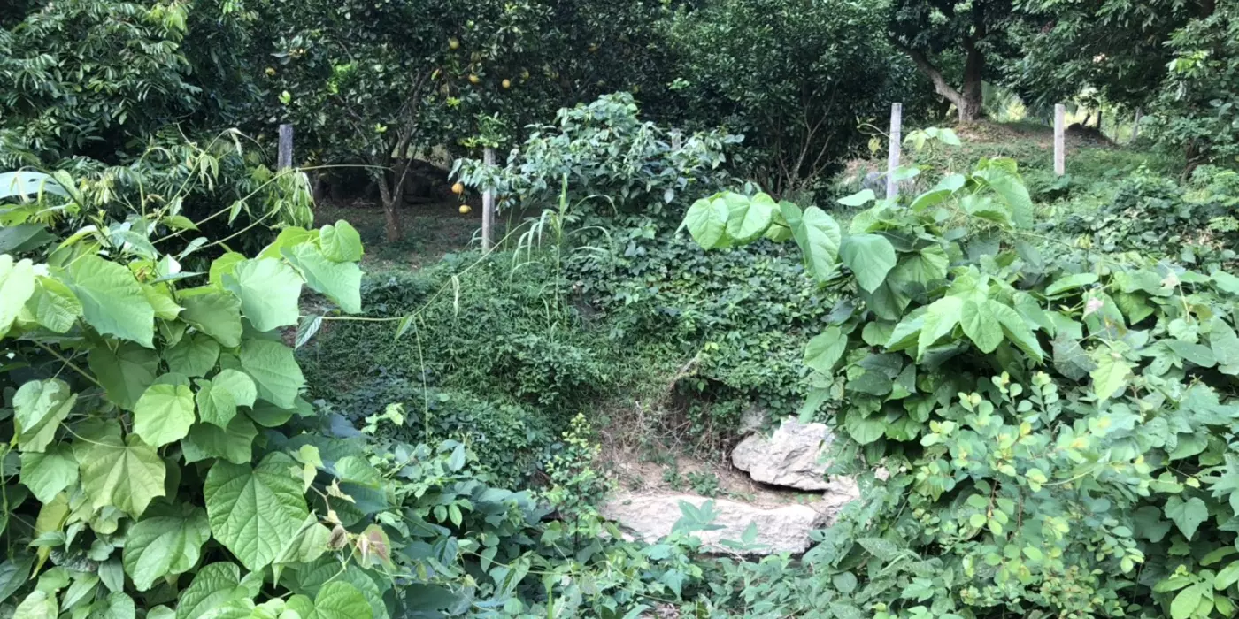 CỰC HÓT – CHÍNH CHỦ CHO THUÊ LÔ ĐẤT HƠN 2000M2 Ở YÊN THỦY, HÒA BÌNH  – GIÁ THUÊ SIÊU RẺ