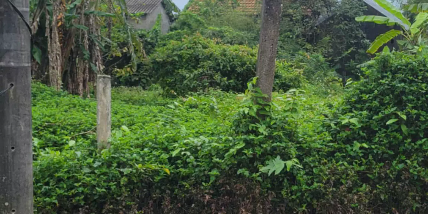 BÁN ĐẤT VÂN THÊ, THỦY THANH, HƯƠNG THỦY – GIÁ SIÊU TỐT CHỈ 1,1XX TỶ!