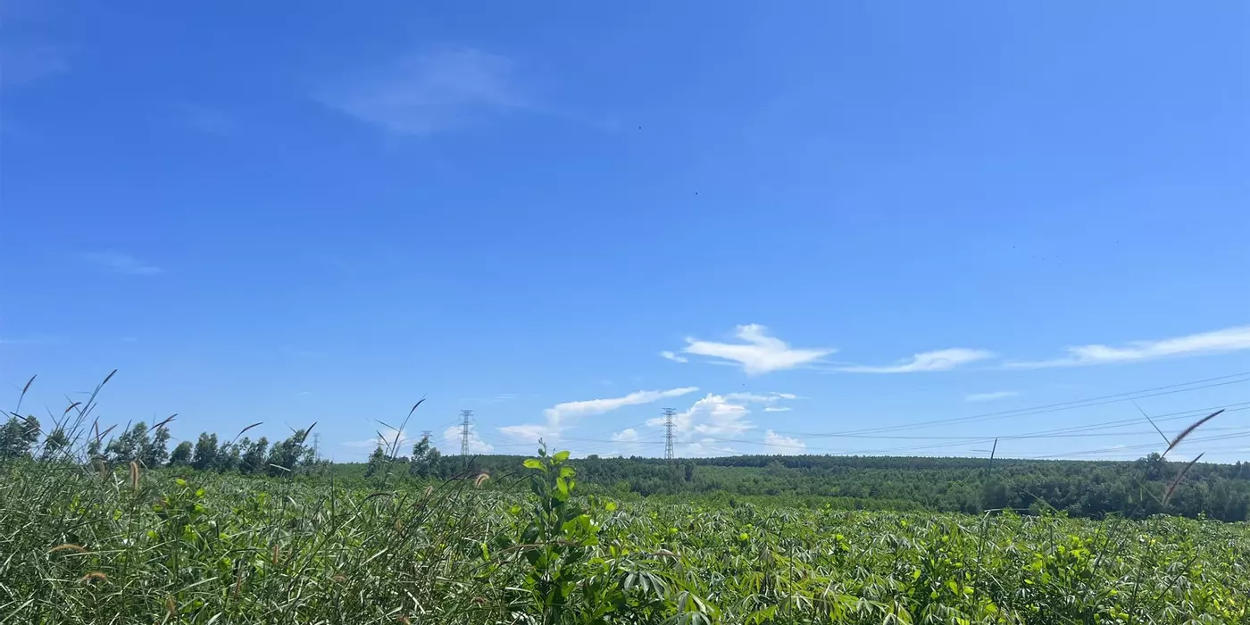 Bán 4.2 mẫu đất Tân Xuân - Hàm Tân giá ngộp chỉ 1.1 tỷ/ mẫu