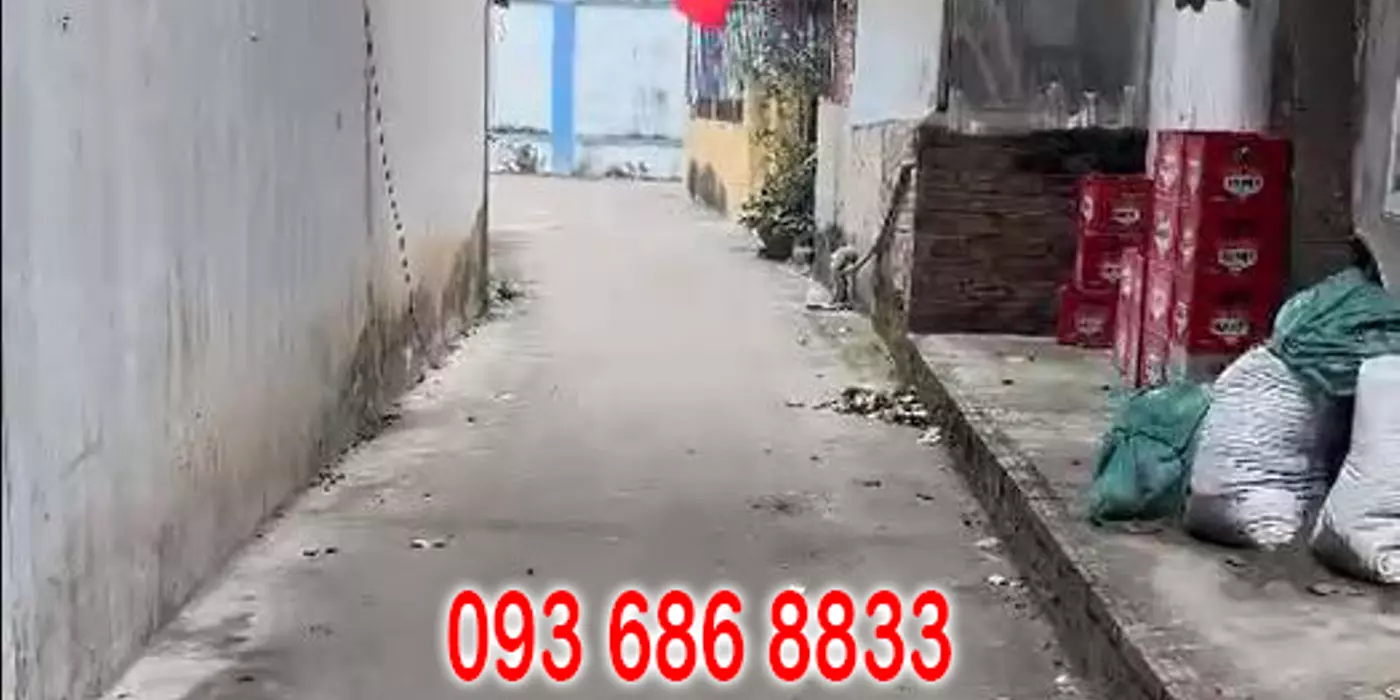 51m2 - Ngay phố Tía sầm uất - Thổ cư chính chủ mới ra lò còn nóng bỏng tay!
