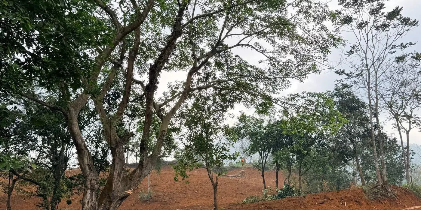 CƠ HỘI ĐẦU TƯ SINH LỜI, BÁN LÔ ĐẤT TẠI CAO PHONG, HÒA BÌNH.