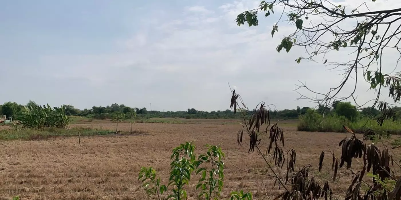 Đất Mặt Tiền - Hưng Long, Đa Phước, Bình Chánh 15000m² Chỉ  70 Tỷ,