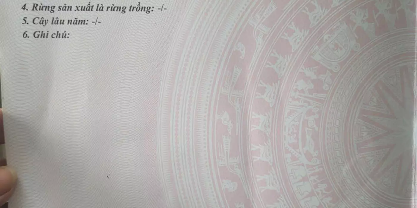 Bán đất sổ riêng, chính chủ, hẻm xe hơi, gần phố đi bộ Long Khánh