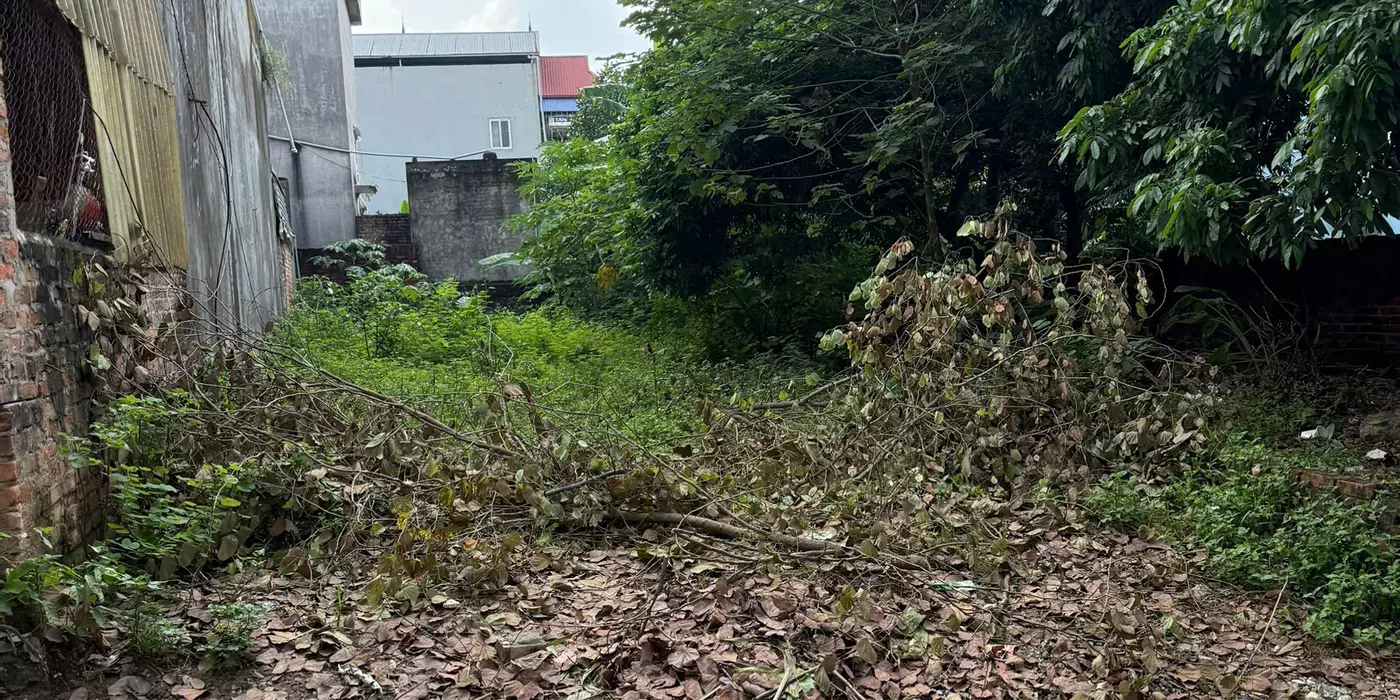 BÁN ĐẤT GIÁ CỰC TỐT – XUÂN HÒA, PHÚ THỌ