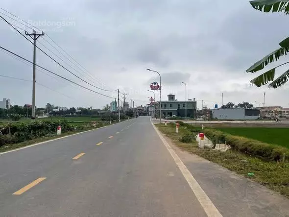BÁN ĐẤT MẶT ĐƯỜNG TRỤC XÃ QUỲNH MỸ (NAY THUỘC QUỲNH PHỤ) VỊ TRÍ KINH DOANH TỐT