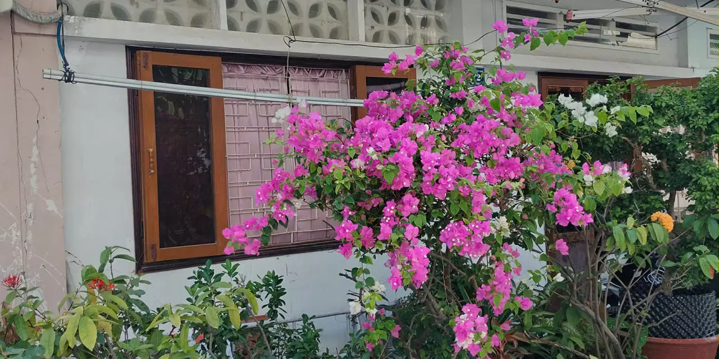 BÁN NHÀ THỔ CƯ TT CẦN GIỜ – VỊ TRÍ ĐẸP – GẦN BIỂN – CHÍNH CHỦ