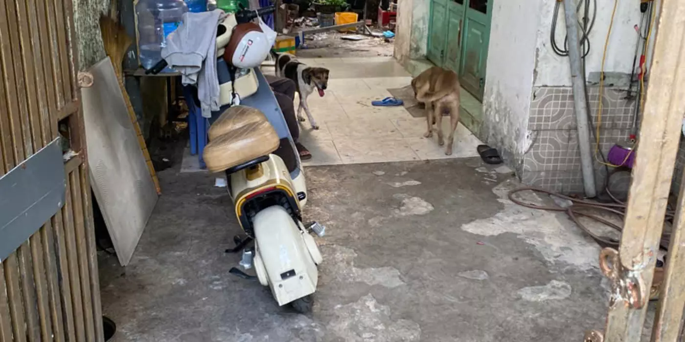BÁN ĐẤT GẦN ĐƯỜNG ĐẶNG THÚC VỊNH – ĐÔNG THẠNH, HÓC MÔN
