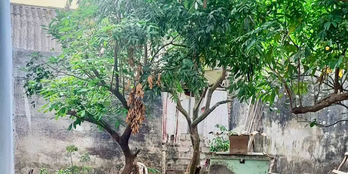 🔥 HIẾM – Bán đất THANH AM – 103M2 -12 tỷ- gần hồ điều hòa và trường tiểu học Thanh Am
