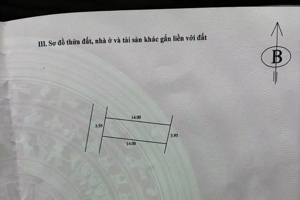 SỞ HỮU LÔ ĐẤT ĐẸP – AN CƯ LÝ TƯỞNG - TẠI PHỤNG THƯỢNG - PHÚC THỌ - HÀ NỘI