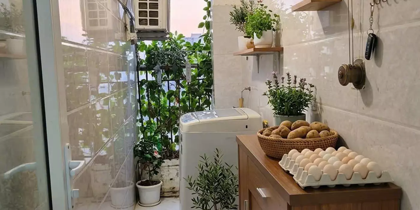 Chính Chủ Bán Căn Hộ 1pn  48m² Tại Thanh Hà  Giá Tốt Nhất Khu Vực