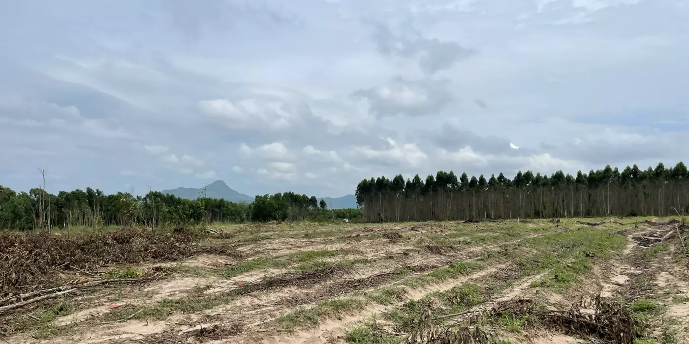 Bán 2000m2 đất Tân Bình - LaGi giảm 50% 500 triệu/1000m2 đường ô tô né nhau