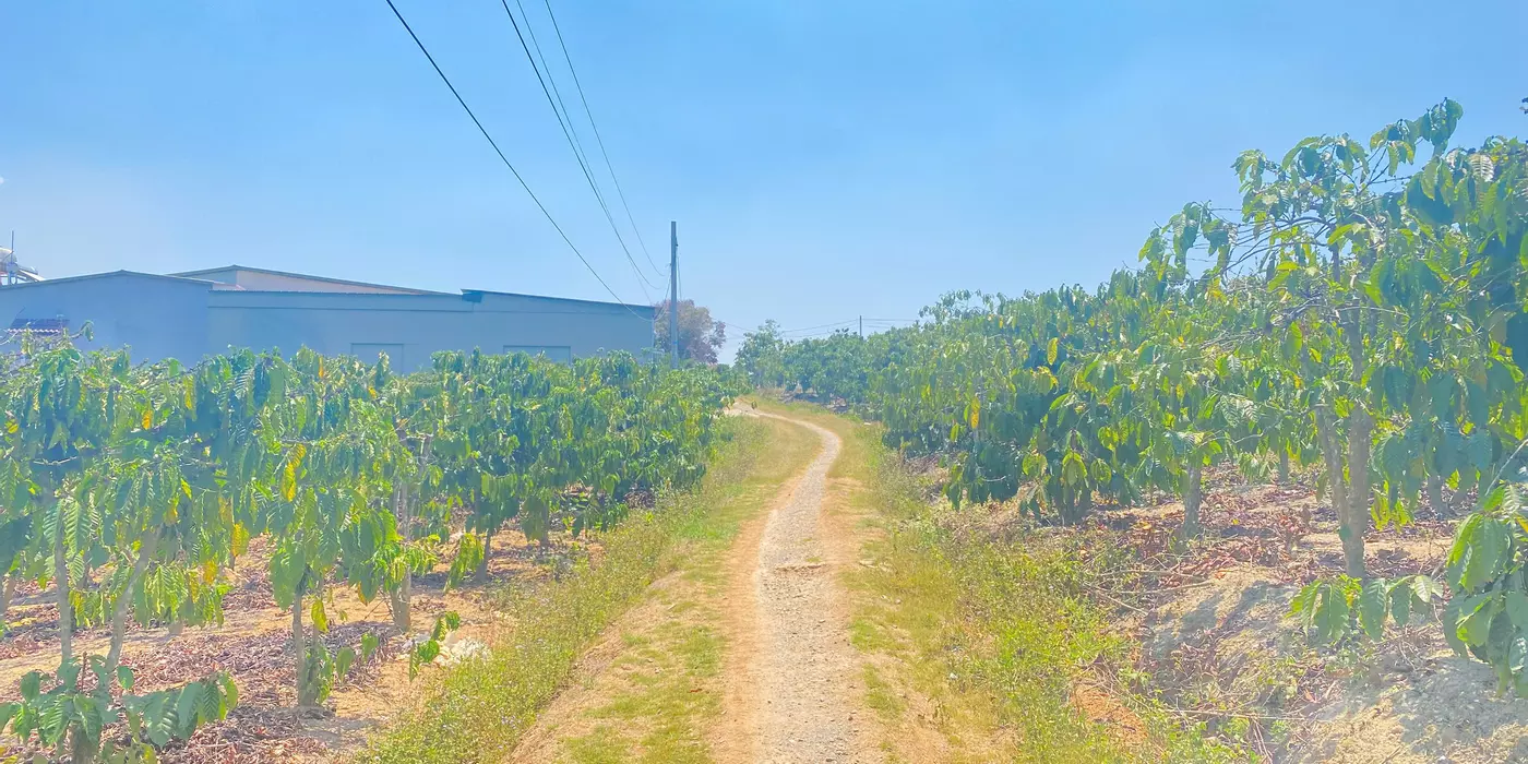 1,7 sào hẻm ql27, cây số 5, n'thôn cũ, đức trọng, lâm đồng