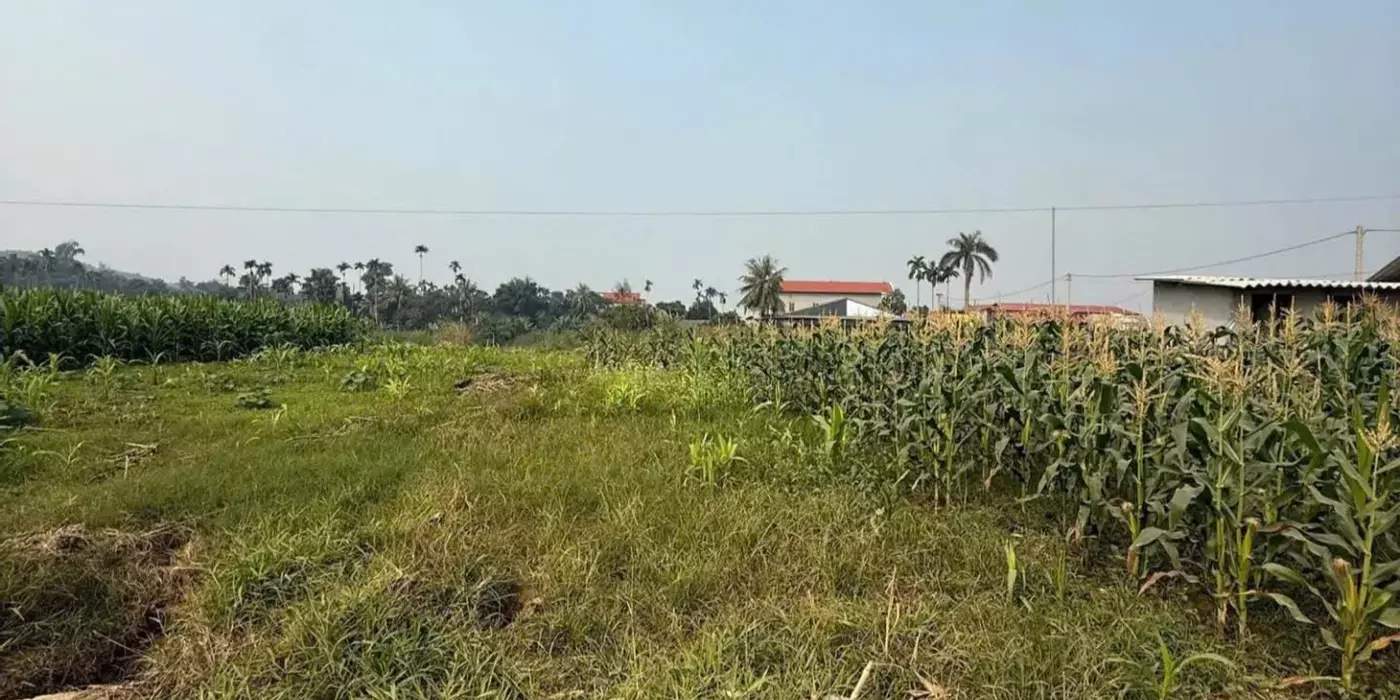 Bán đất nền có sổ đỏ thôn Bình Minh,Xã Quy Mông,Trấn Yên,Yên Bái
