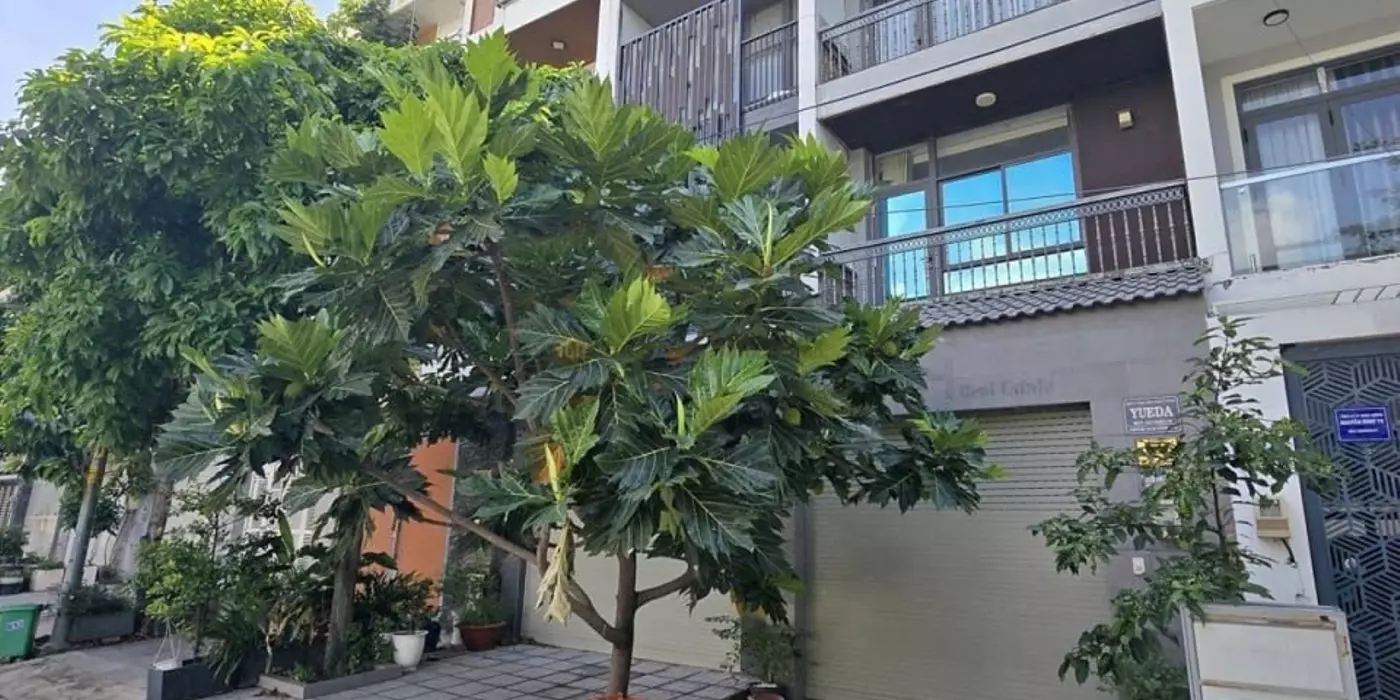 Mặt tiền kinh doanh Bùi Tá Hán 80m2, An Phú An Khánh, Hầm 4 tầng, HDT 35tr, giá 24.9 tỷ